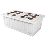 SuperCloset SuperPonics 16 Hydroponic System