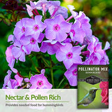 Survival Garden Seeds – Hummingbird Pollinator Mix Wildflower Seed for Planting – Packet with Instructions to Plant and Grow Flowering Plants in Your Home Vegetable Garden – Non-GMO Heirloom Varieties