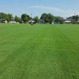 Outsidepride Arden 15 Bermuda Grass Seed – 25 lbs