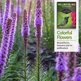 Survival Garden Seeds – Hummingbird Pollinator Mix Wildflower Seed for Planting – Packet with Instructions to Plant and Grow Flowering Plants in Your Home Vegetable Garden – Non-GMO Heirloom Varieties