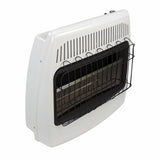 Dyna-Glo BF30NMDG 30,000 BTU Blue Flame Natural GAS Vent Free Wall Heater