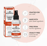 J.R. Watkins Liniment Spray ?C Original Pain Relieving Misting Spray ?C Soothes Arthritis Aches & Pains ?C Fast Acting Muscle Reliever, 4 fl oz (6 Pack)