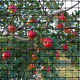 OldMacDonald Deer and Animal Fence Barrier Netting (55gr/sq m.) 7.5′ x 100′ (2.3m x 30m) (mesh 19x19mm)