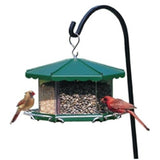 Homestead Triple Bin Party Bird Feeder