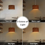 Plug in Pendant Light derelict couch Hanging Lamp with Plug in Clear Cord Linen Lampshade Dimmable Switch for Bedroom Living Room Light Fixtures