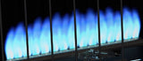 Dyna-Glo BF30NMDG 30,000 BTU Blue Flame Natural GAS Vent Free Wall Heater
